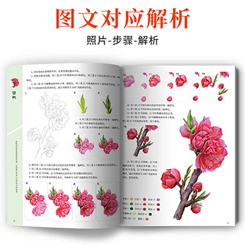 A course of practical color le - огляд і ціна Food And Snacks Coloring Book